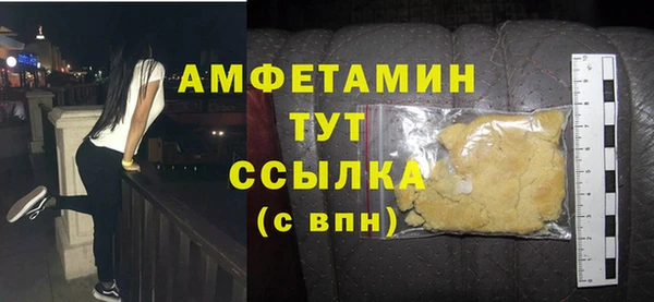 шишки Бородино
