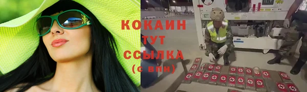 шишки Бородино
