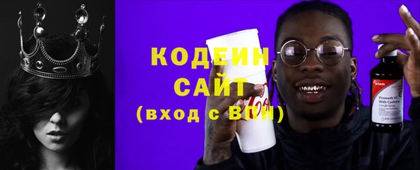 шишки Бородино