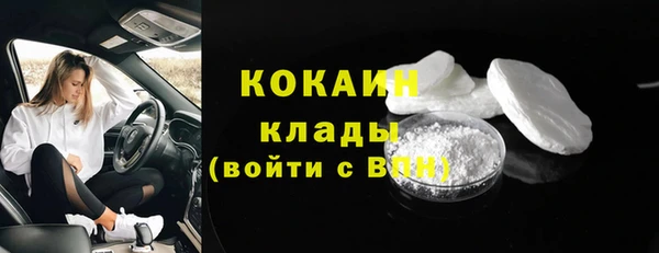 шишки Бородино