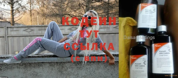 шишки Бородино