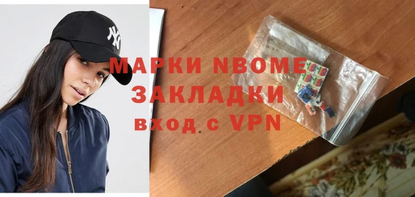 шишки Бородино