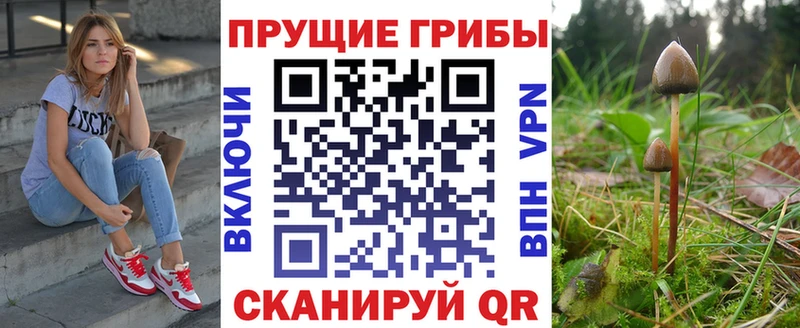 Купить закладки  Александровск  Псилоцибиновые грибы MAGIC MUSHROOMS 