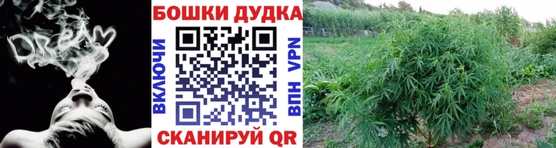 Купить  Александровск  Конопля MAZAR 